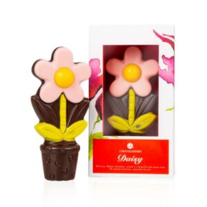 Belgian Brands Chocolate Flowers Daisy Pink Chocolate Flower Chocolissimo