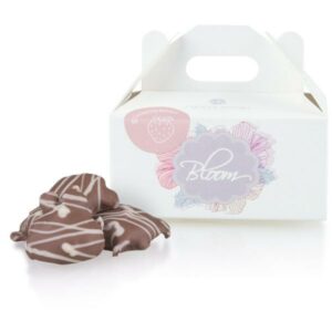 Belgian Brands - Strawberries In Chocolate - ChocoStrawberries Mini Chocolissimo > Chocoladevormen Chocolissimo