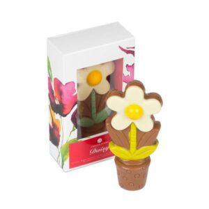 Daisy White - Chocolate flower Chocolate figure Chocolissimo > Chocolate shapes Chocolissimo
